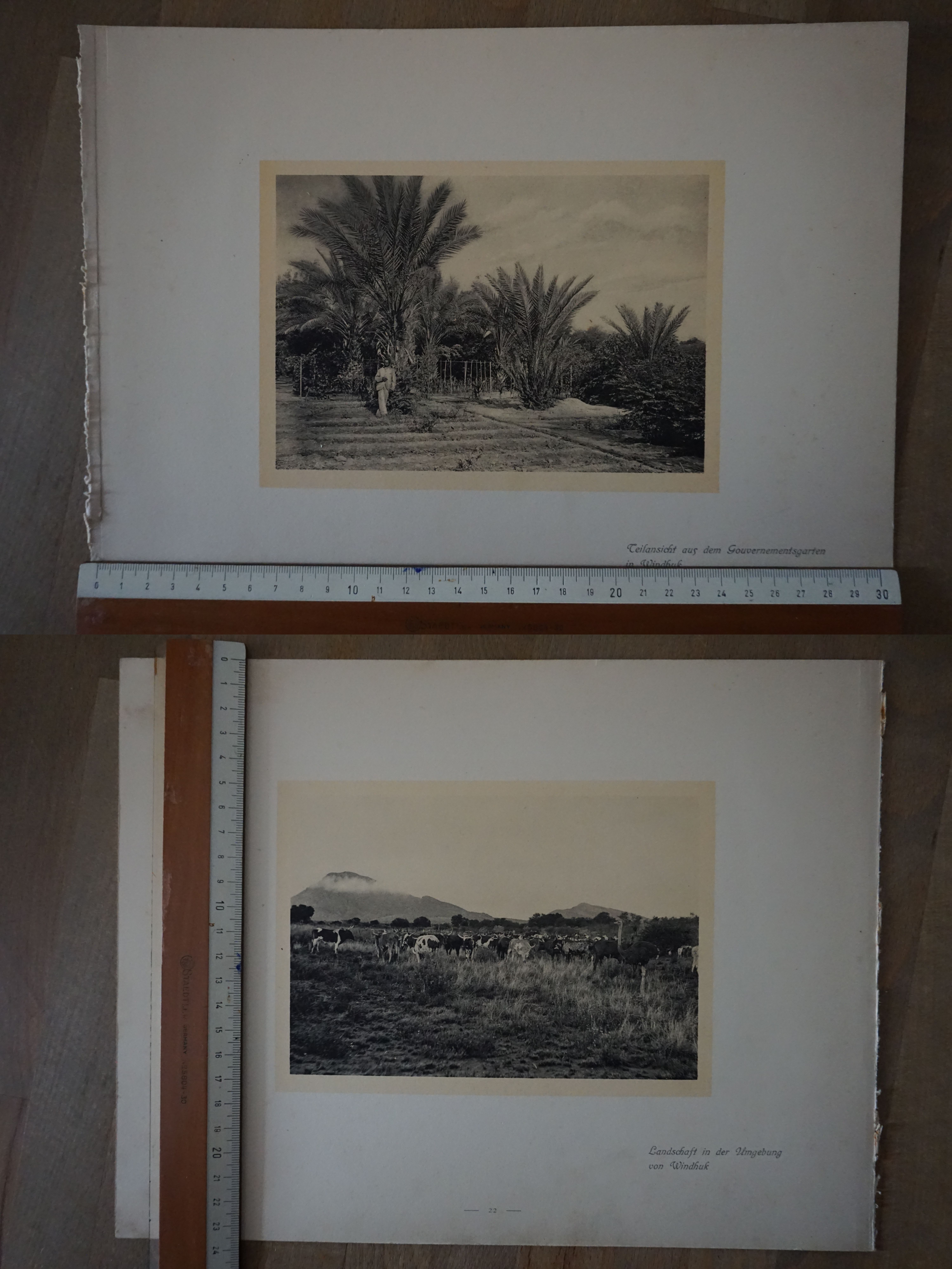 Orig. Druck Aufnahme Gouvernementsgarten Windhuk Landschaft Umgebung G2020-10-20-011