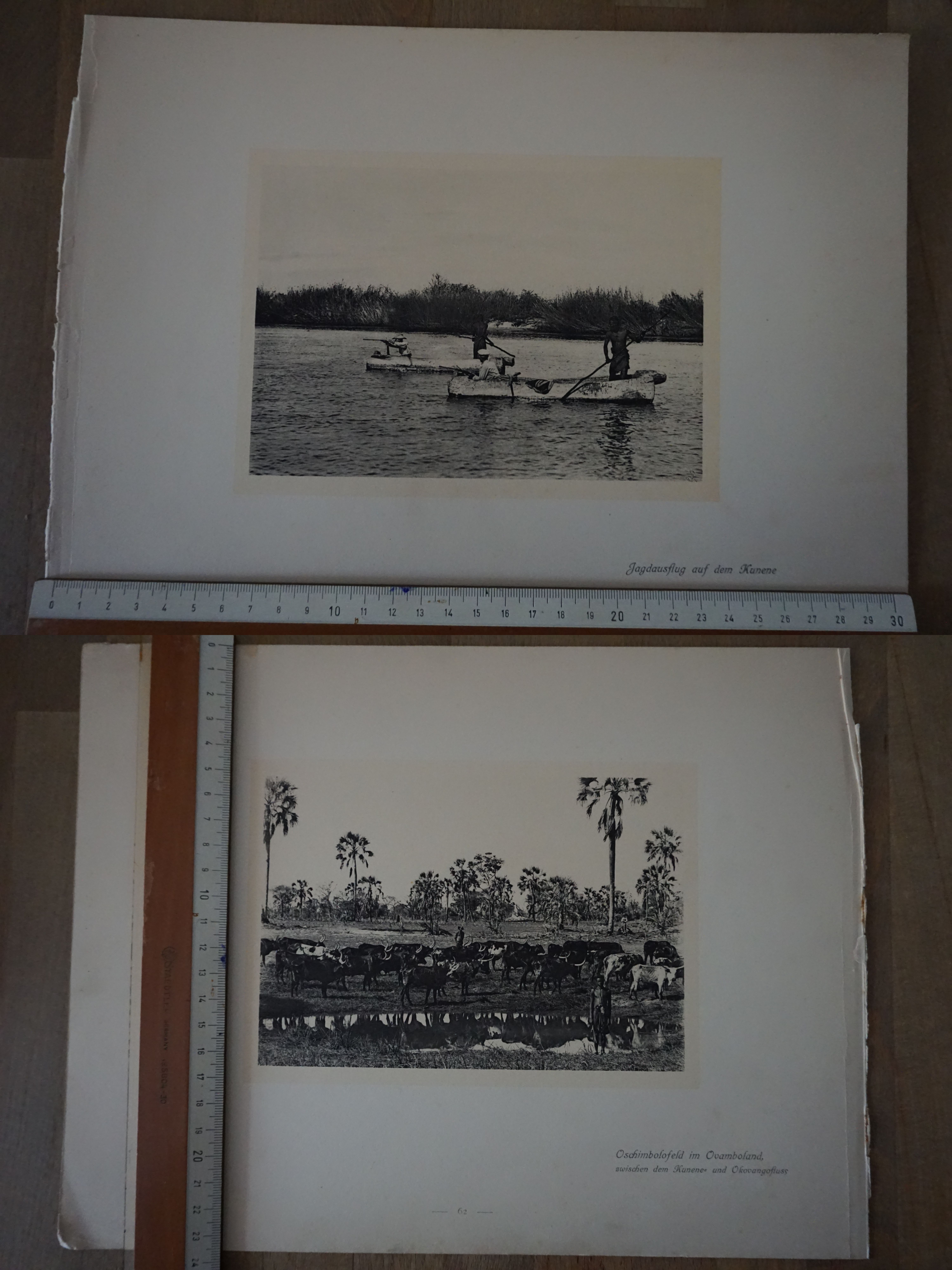 Orig. Druck Aufnahme Jagdausflug auf dem Kuene Oschimbolofeld Ovamboland Windhuk G2020-10-20-031