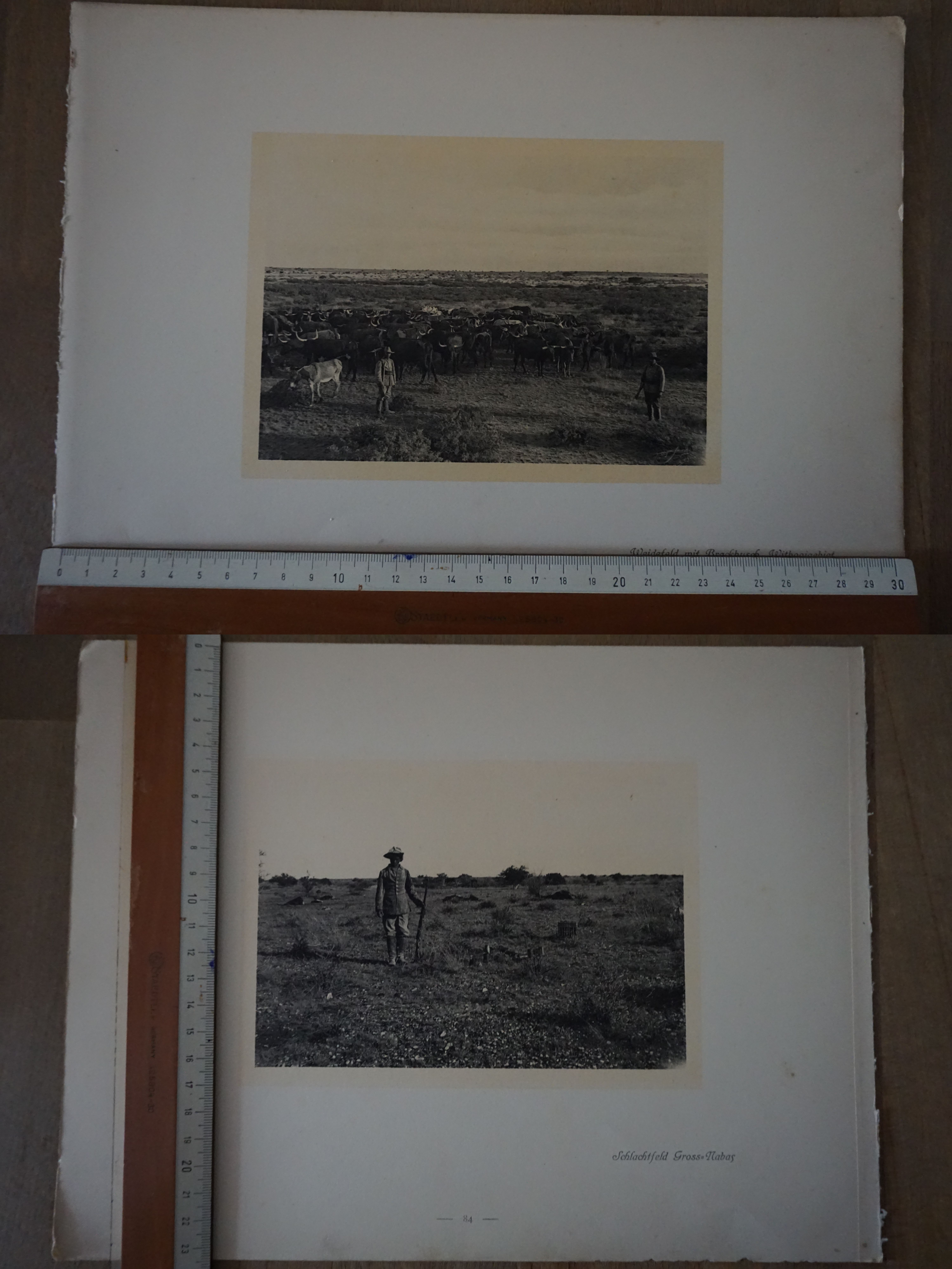 Orig. Druck Aufnahme Weidefeld mit Brackbusch Schlachtfeld Windhuk G2020-10-20-042