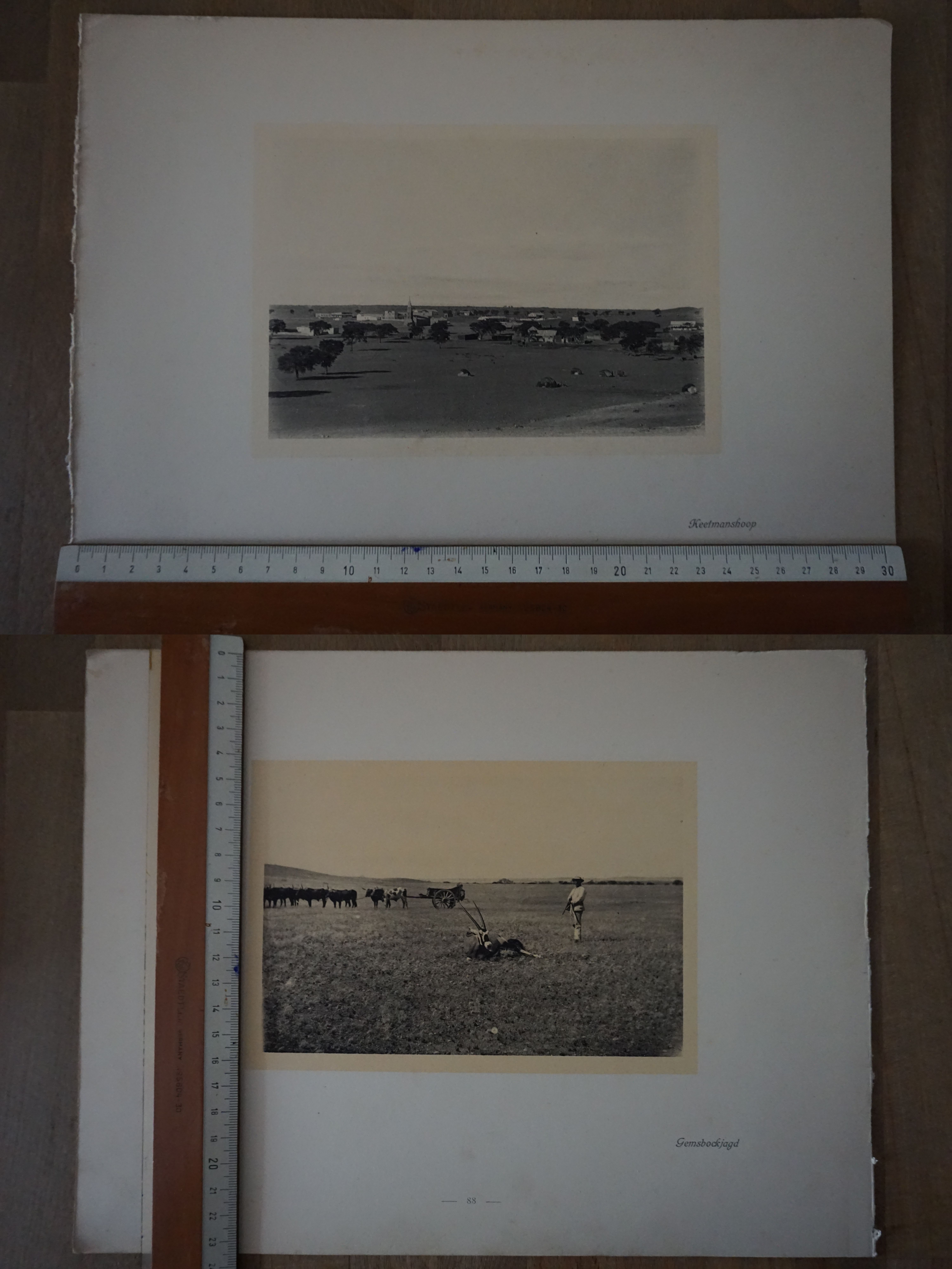 Orig. Druck Aufnahme Keetmanshoop Gemsbockjagd Windhuk G2020-10-20-044